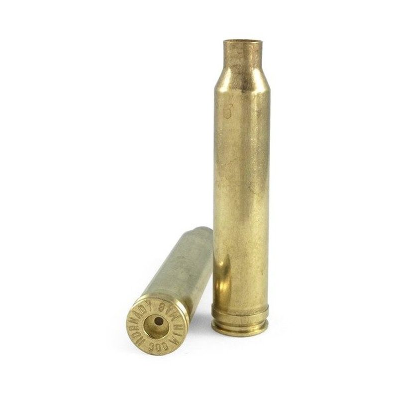 270 wsm ammo